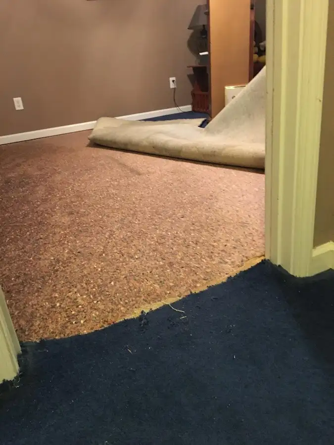 Carpet pad removal revealing water damage during Drying & Dehumidification in South Miami Heights