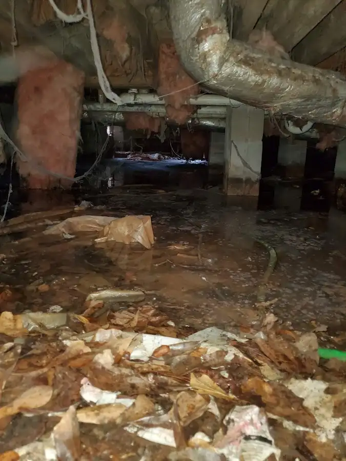 Crawl space flood assessment for Commercial Water Damage Restoration in South Miami Heights